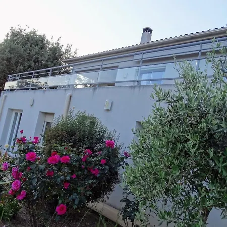 Proche D'ajaccio Avec Piscine 阿帕涅托